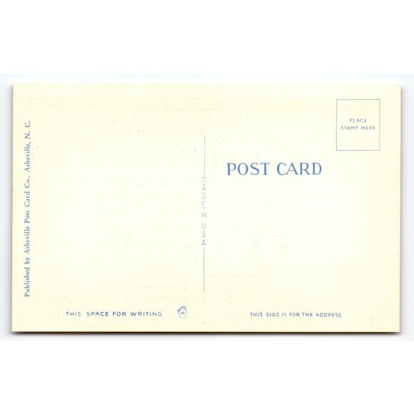 Vintage Linen Postcard Fine Red Apple Asheville Postcard Co. 1930s - Picture 2 of 2